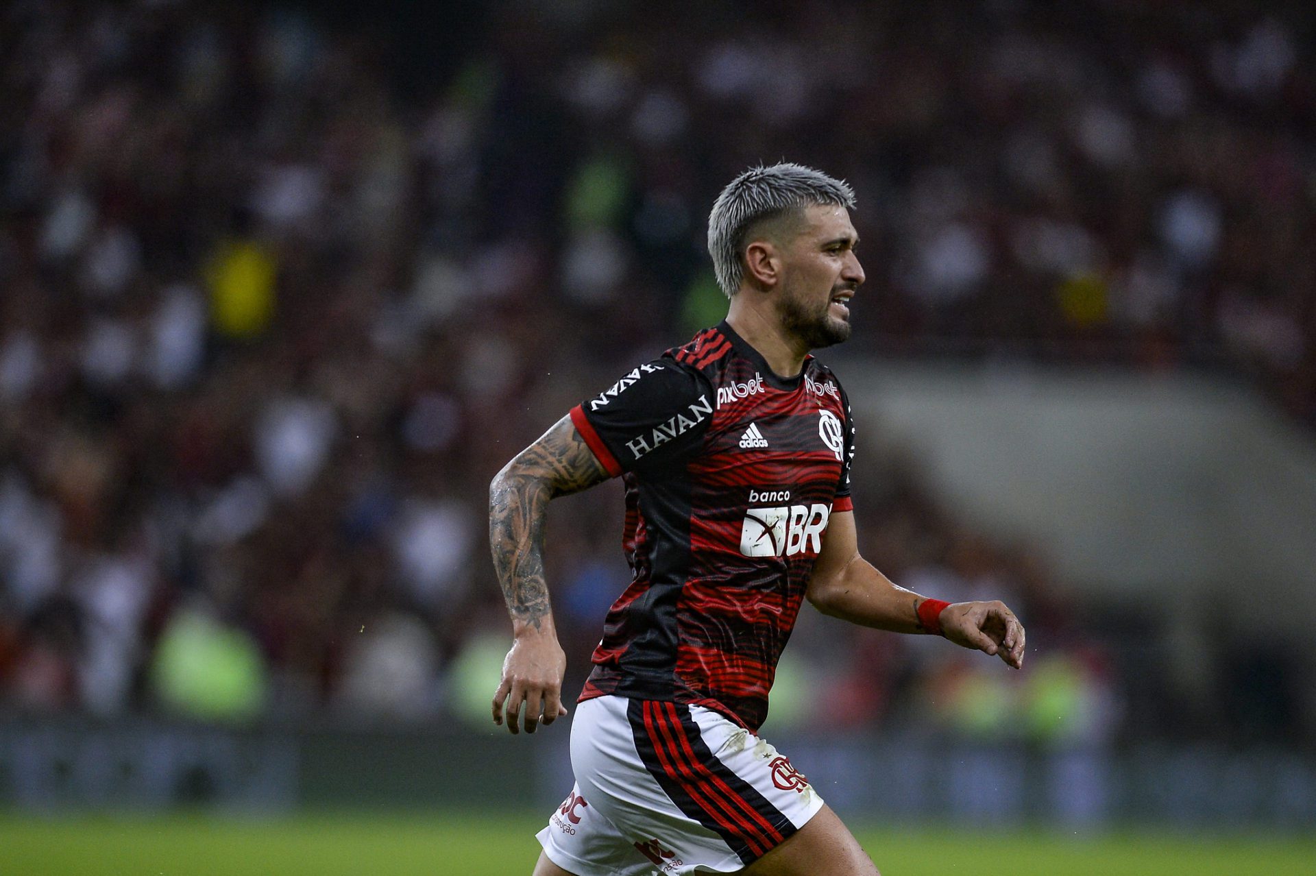 Arrascaeta brilha em vitória do Flamengo e leva rubro-negros ao