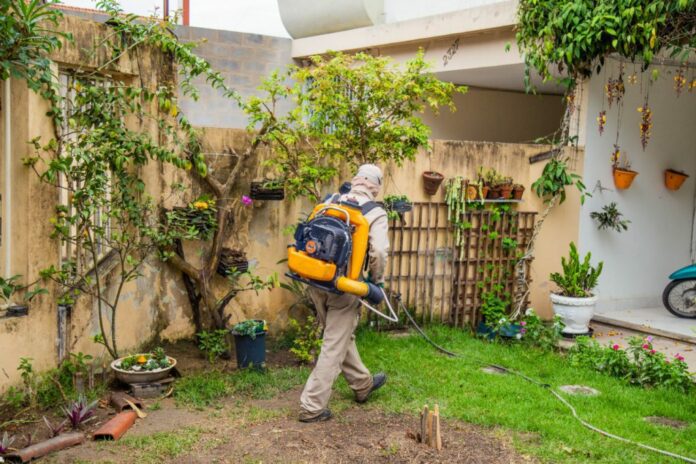 Pontal do Ipiranga e Regência receberão mutirão de prevenção e combate à dengue   		