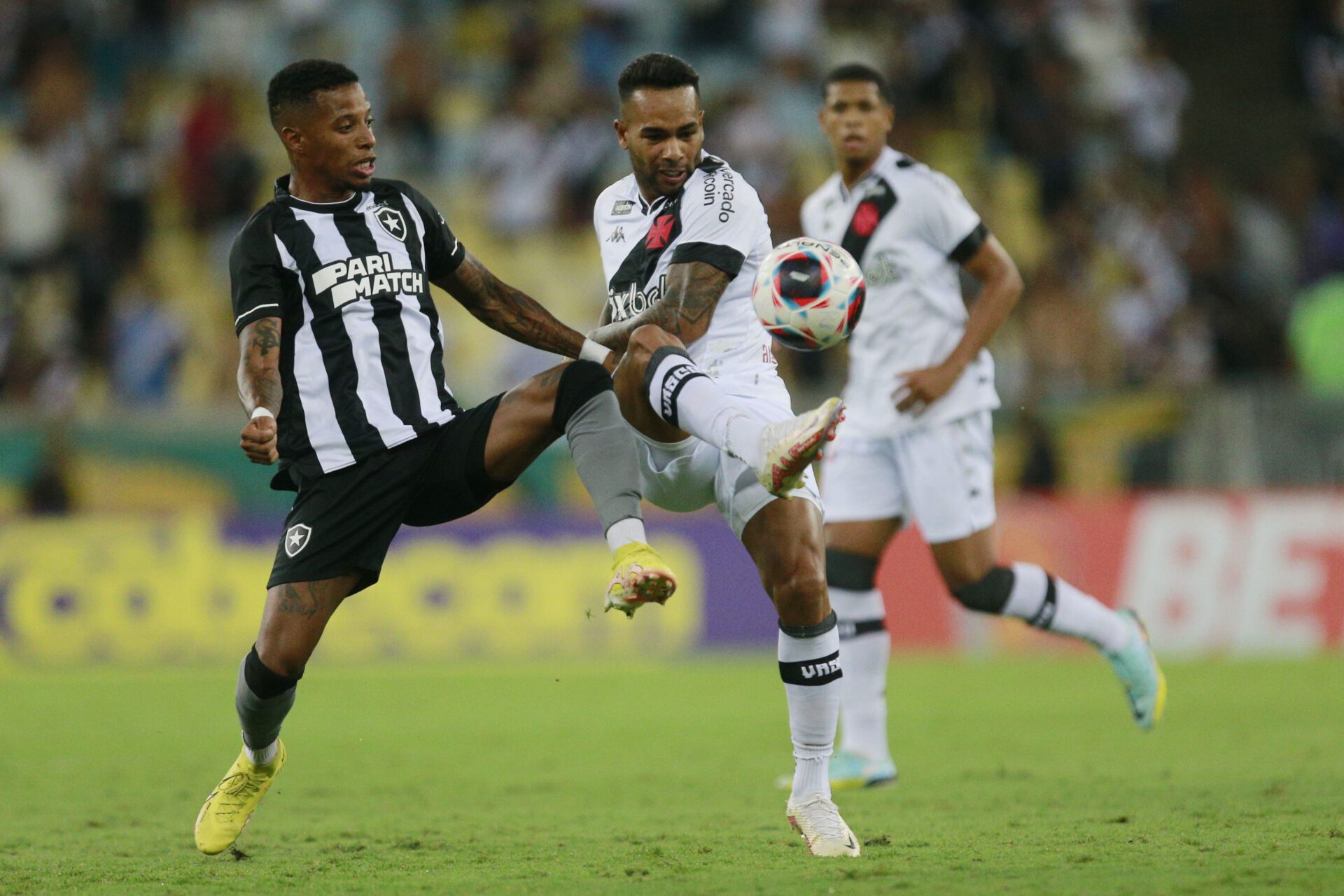 Botafogo x Palmeiras: informações e prováveis escalações do jogo pela 31ª  rodada do Brasileirão - Gazeta Esportiva